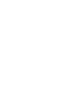 Risks of the BYOD concept